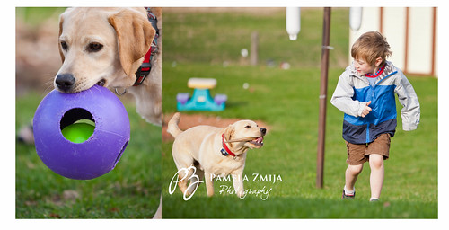 20120323 Cars BeckWM by {PZ.Photography}