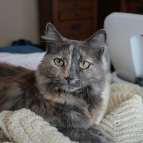 Darla gets photogenic by eteckard