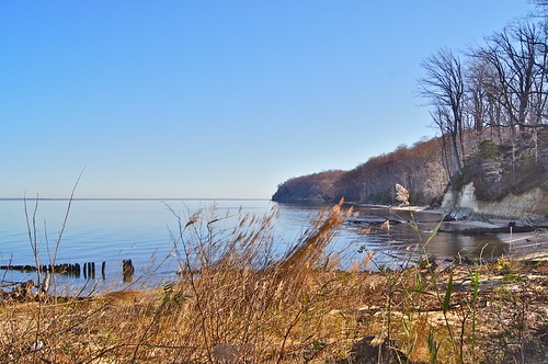 Revolutionary War Image