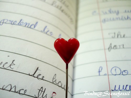 Book & Heart