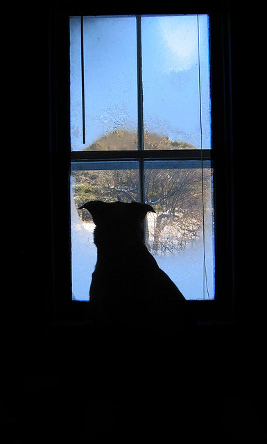 Gazing