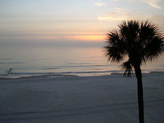 Sunset from our rented sea front condo in the Tampa Bay area. 