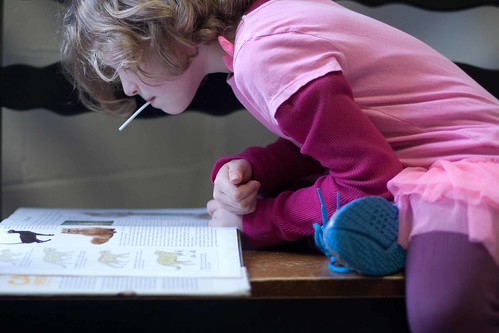 my giant seven year old.