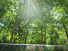 I was beginning to see the light on how a version of outlining could help me. Photo of sun through trees made by Aaron from the car