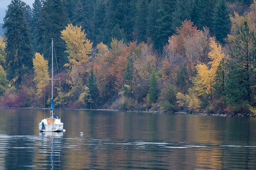 Sale Boat Autumn