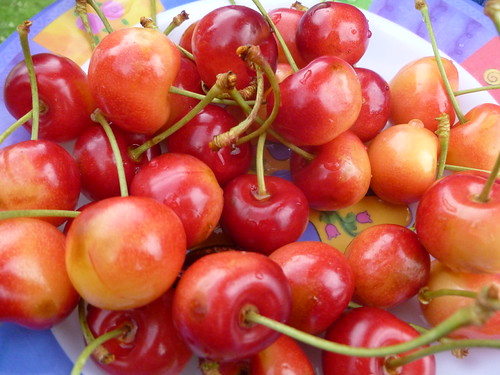 Cherries with a cherry on top P1080800