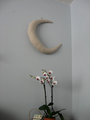 goodnight moon - decor
