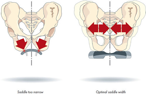 There are many factors involved when choosing a new bike saddle, including price, weight, style, fit, etc., so let's focus on sit bone width and saddle . Butt measurements for your bike? | Unfold and Cycle