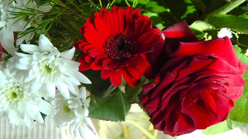 You are insane, you need to be locked up in an Asylum