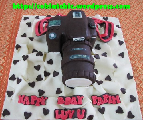 Cake Nikon D90