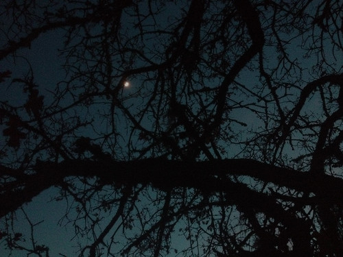 night_0108