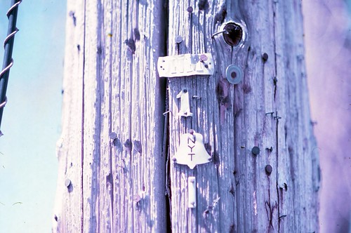 New York Telephone Pole