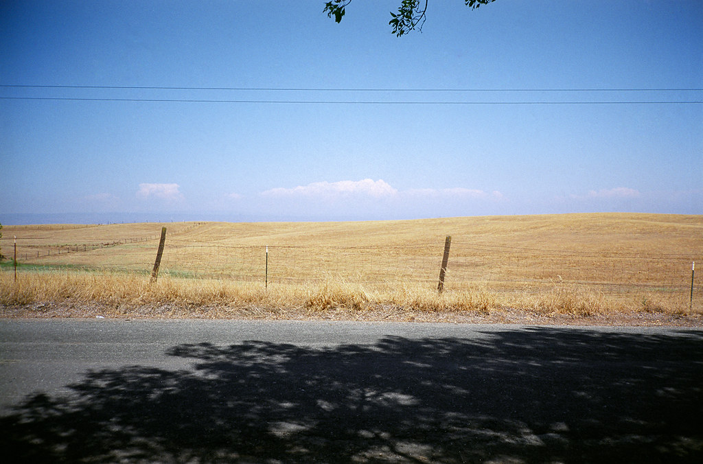 Corning, CA. 2011.