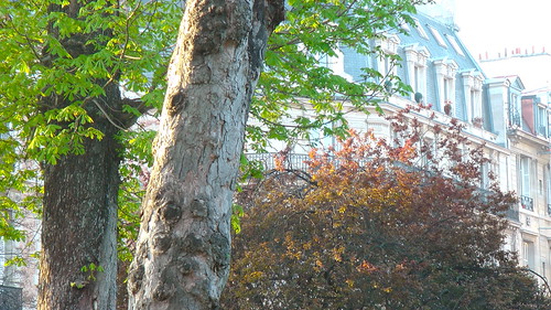 I live in the most beautiful city in the world, my little Paris