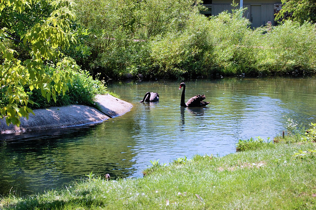 Racine Zoological Gardens, Racine, Wisconsin