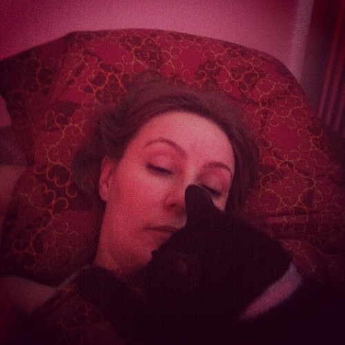 "Wake up, human!" #cat