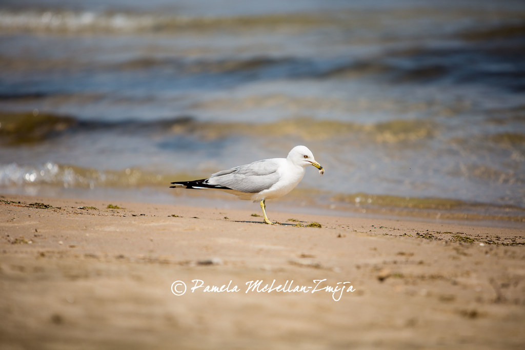 20130702-328C1600-WM