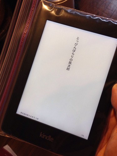 KindlePaperwhite with Ziplock