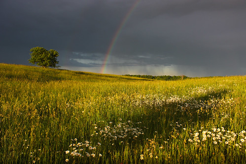 rainbow sunrise