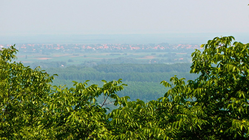 Hakuna matata madafaka