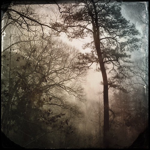 Fog rolling in by sslyb