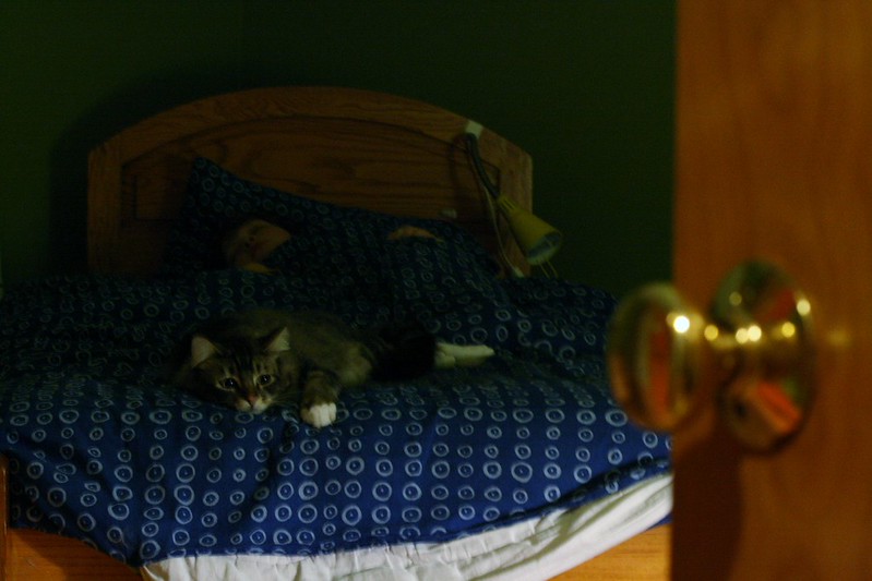 fezzikcatbedguard