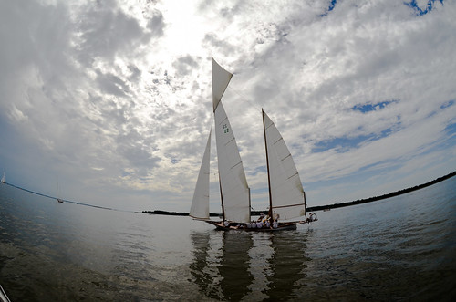 Oxford Regatta - Chesapeake Log Canoes-357.jpg by hergan family