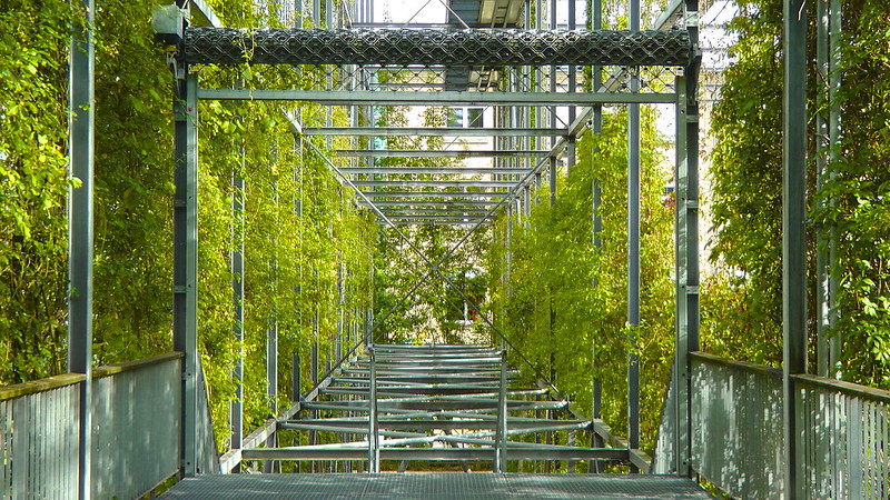 i can't hang out tomorrow i'm too busy doing nothing alone sorry