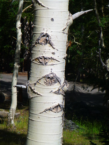 P1040499