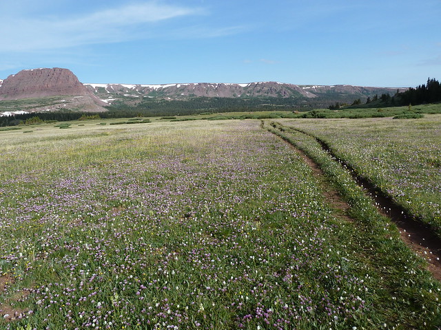 P1050256