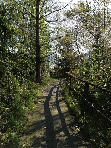 Lovely pathways