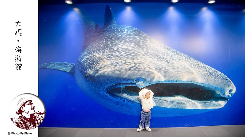 大阪海遊館 osaka aquarium kaiyukan｜會玩瘋的360度環繞大阪水族館｜大阪親子自由行 @布雷克的出走旅行視界
