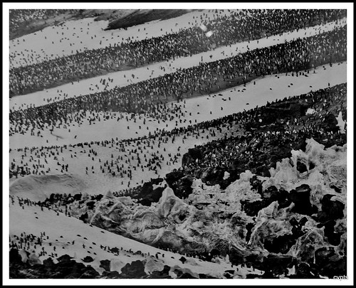 sebastião salgado - pedaços