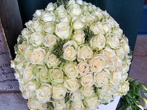 roses Naples, Italy