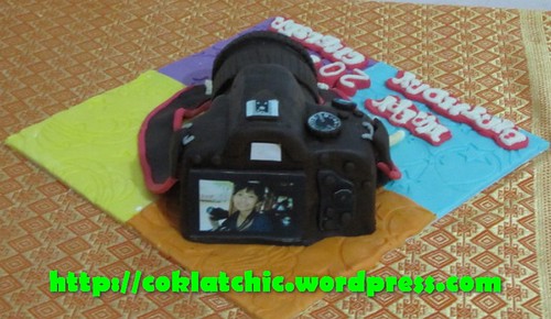 Cake Nikon D5100 long tele