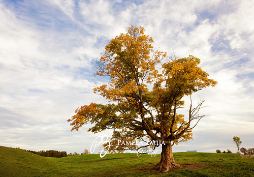 20121001-328C5065-WM by {Pamela Zmija Photography}