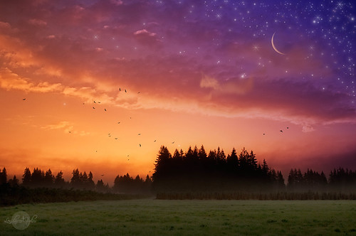 Rising by Imagemakercan - The Lensdancer