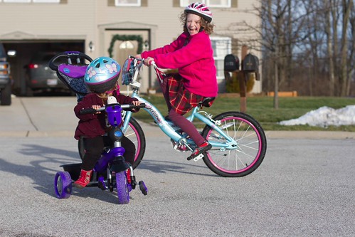 a bunny, a fox, a kitty, a bike and some snow.