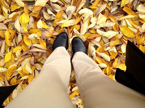 fall leaves and boots