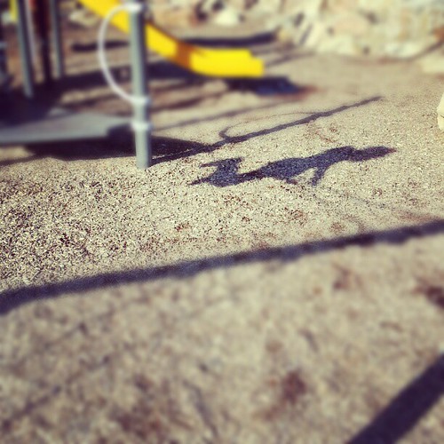 Shadow of a swinger.
