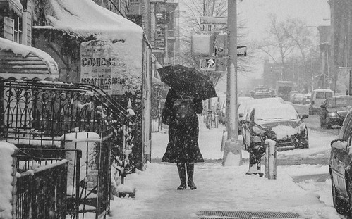 Snowy day in Brooklyn