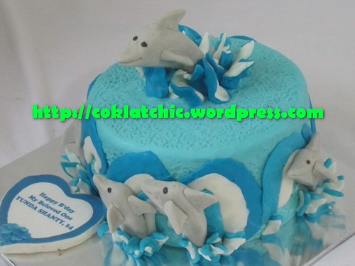 Cake Dolphin