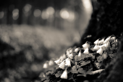 Black and White