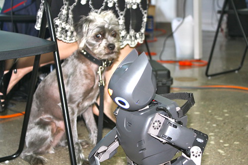 Kutya and Darwin