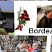 Homenaje a Graham Davies.2012