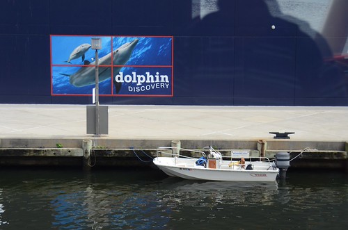 DSC_8944 by hergan family