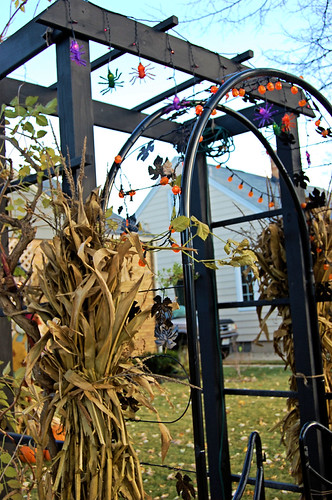 Trick or Treating in My Neighborhood