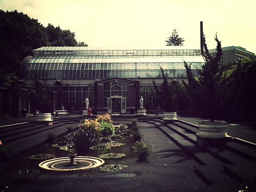 Winter Gardens in Auckland (not very wintery!) Amazing how a filter on the flickr iphone app can make pictures look arty eh lol