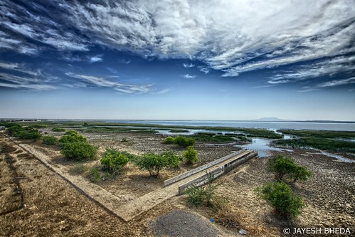 Chhari lake, Nakhtrana,Kutch by Jayesh Bheda