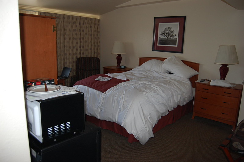Bedroom/living room